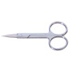 beauty scissors