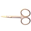 beauty scissors