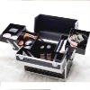 black brush cosmetic case