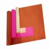 building/house painting machine,