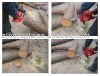 chainsaw, Gasoline Saw (HJ-CS38)