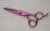 color titanium scissors 008-55P