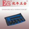 damageo bolt extractor set