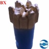 diamond oil drill bit for well drilling