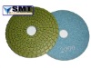 diamond polishing pad