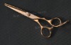 fashion barber scissors US-60DG