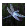 garden dragonfly solar stake light