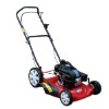 gas lawn mower