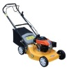gas lawn mower