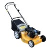 gas lawn mower