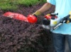 gasoline 23cc hedge trimmer