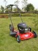 gasoline grass mower