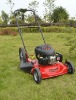gasoline grass mower