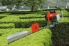 gasoline hedge trimmer