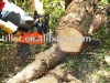 gasoline power 52cc chain saw/saw chain/tree cutter