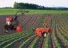 gasoline power 6.5hp 196cc rotary mini tiller/cultivator