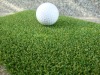 golf course turf BE1634050-3