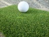 golf grass BE1634050-3