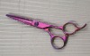 hair cutting scissors 008-55P