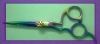 hair dressing barber Scissor