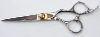 hair scissor ,hairdressing scissors, thinning scissors