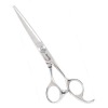 hair scissors