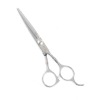 hair scissors