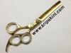 hairdressing hair thinning scissors