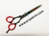 hairdressing scissor 2012