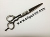 hairdressing scissor 2012