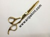 hairdressing scissor 2012
