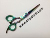 hairdressing scissor 2012