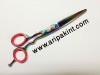 hairdressing scissor 2012