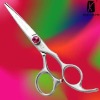 hairdressing scissors AH-55L