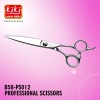 hairdressing scissors.Professional Hair Scissors