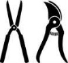 hand tool,pruning shear,garden scissors,secateurs