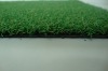 indoor grass