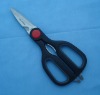 kitchen shears