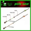 long handle pole chain saw