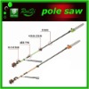 long handle pole chain saw