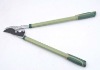 lopping bypass pruner