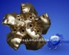 matrix body pdc bit