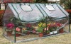 mini greenhouse