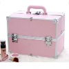 pink Make Up Artist cases