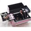 pink nail brush cosmetic case