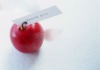 plastic apple