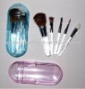 plastic brush set