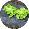 plastic weed control cloth(pe/pp)