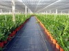 plastic weed control fabric