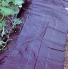plastic weed fabric(pe/pp)